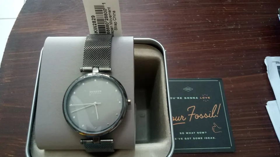 Skagen SKW2829 Gunmetal Dial and Band Steel Mesh Women`s Watch 36 MM